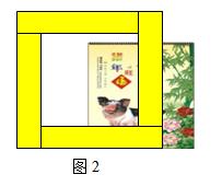 꼶²ѧп